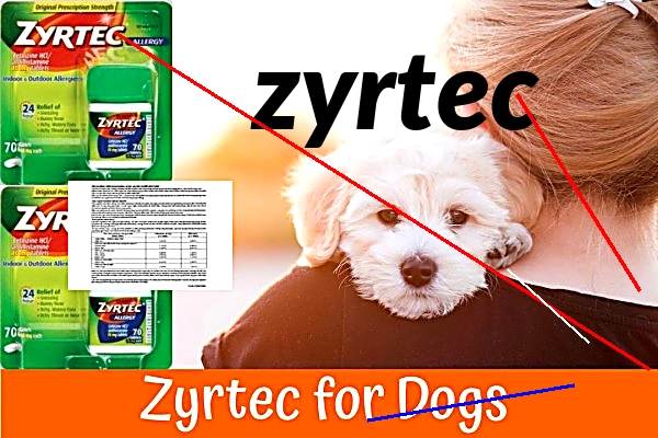 Prix zyrtec sans ordonnance